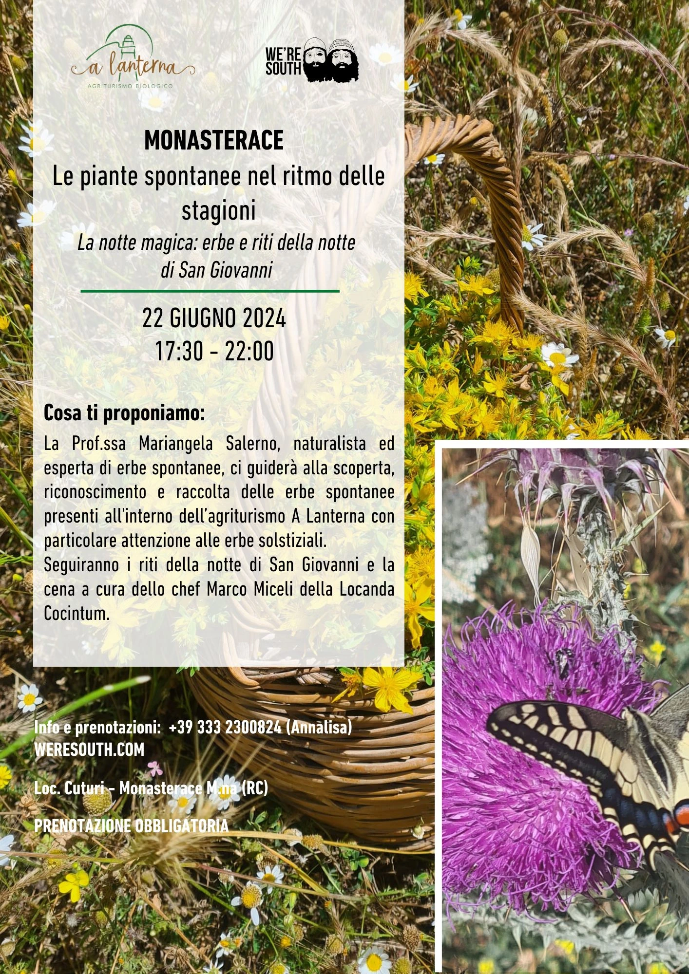 piante-spontanee-evento-a-lanterna